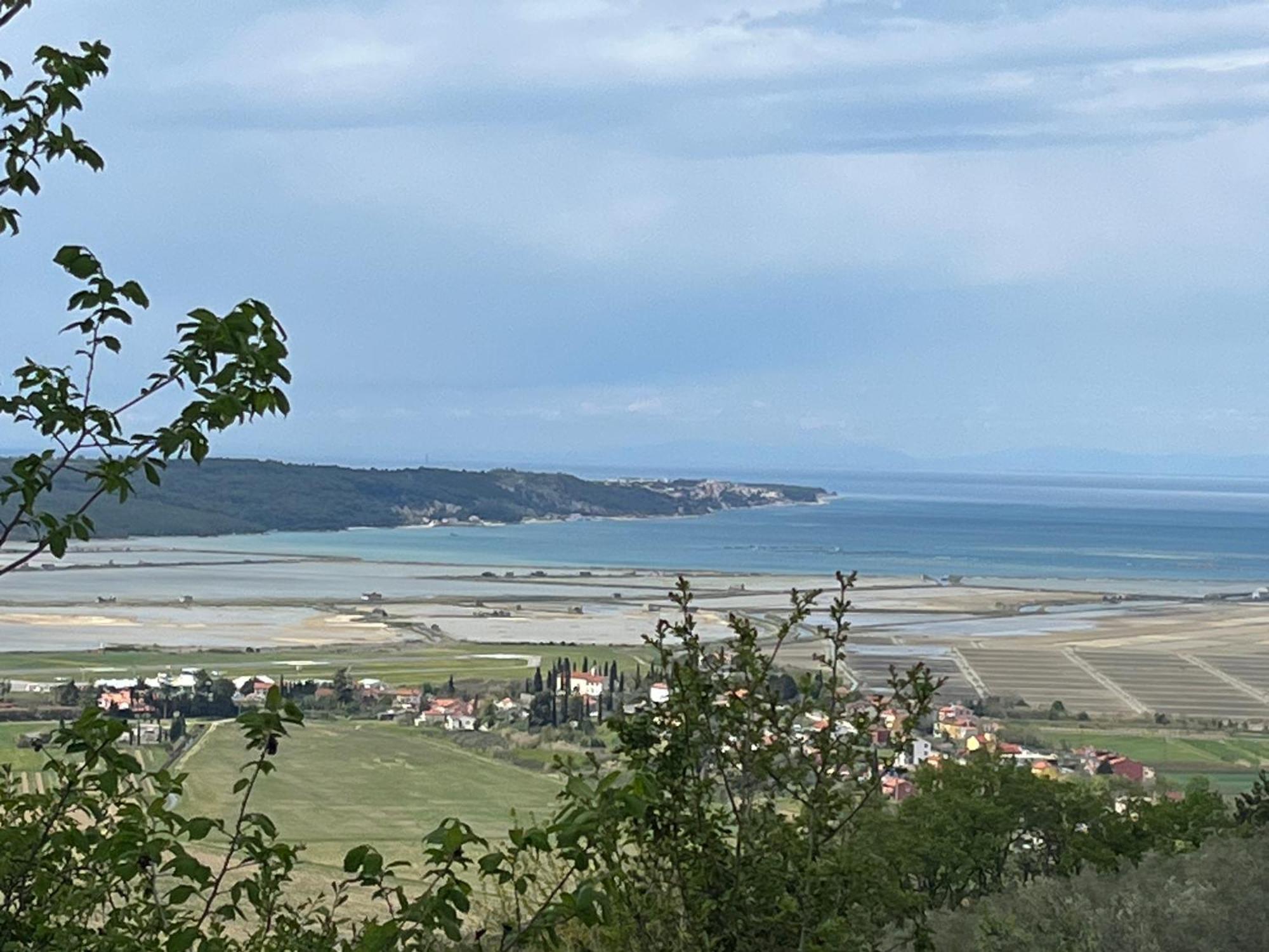 Apartment Pleasant 2 Bedrooms Duplex With Terrace Piran