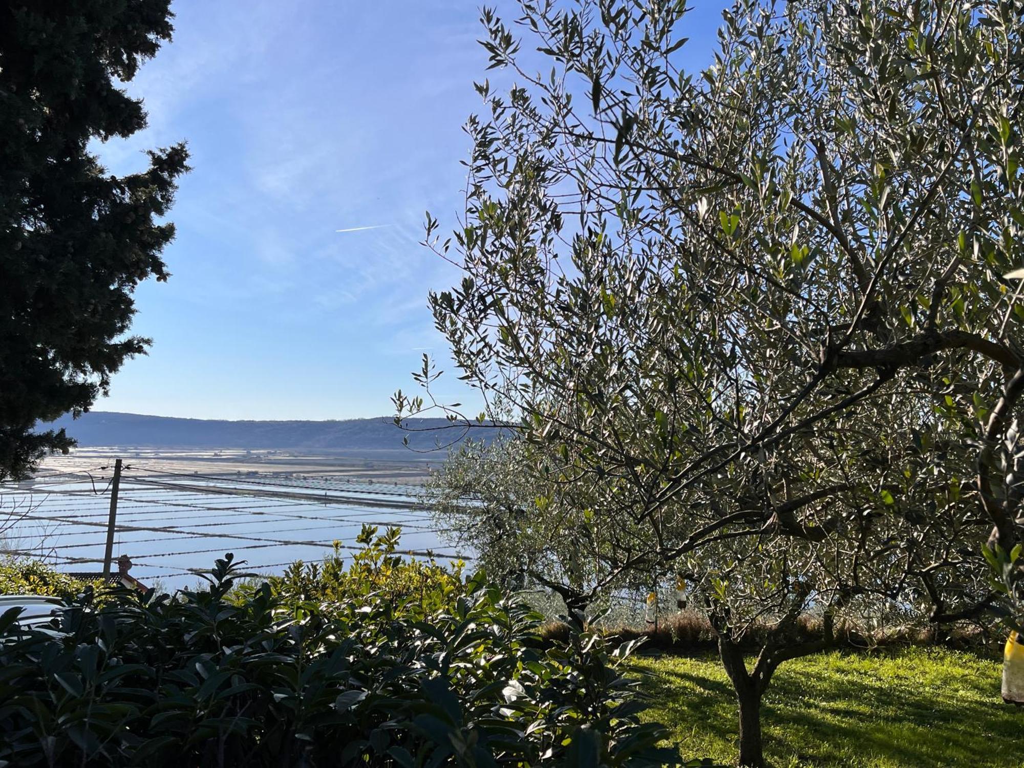 Pleasant 2 Bedrooms Duplex With Terrace Apartment Piran